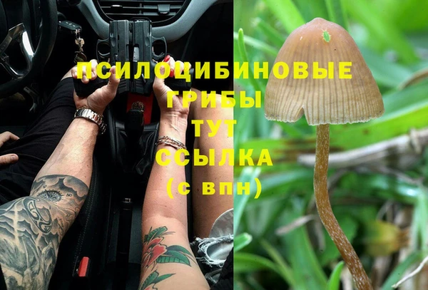 PSILOCYBIN Беломорск